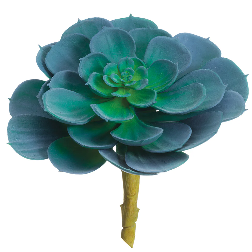 5"Hx6"W Real Touch Echeveria Artificial Stem Pick -Blue (Pack of 6)