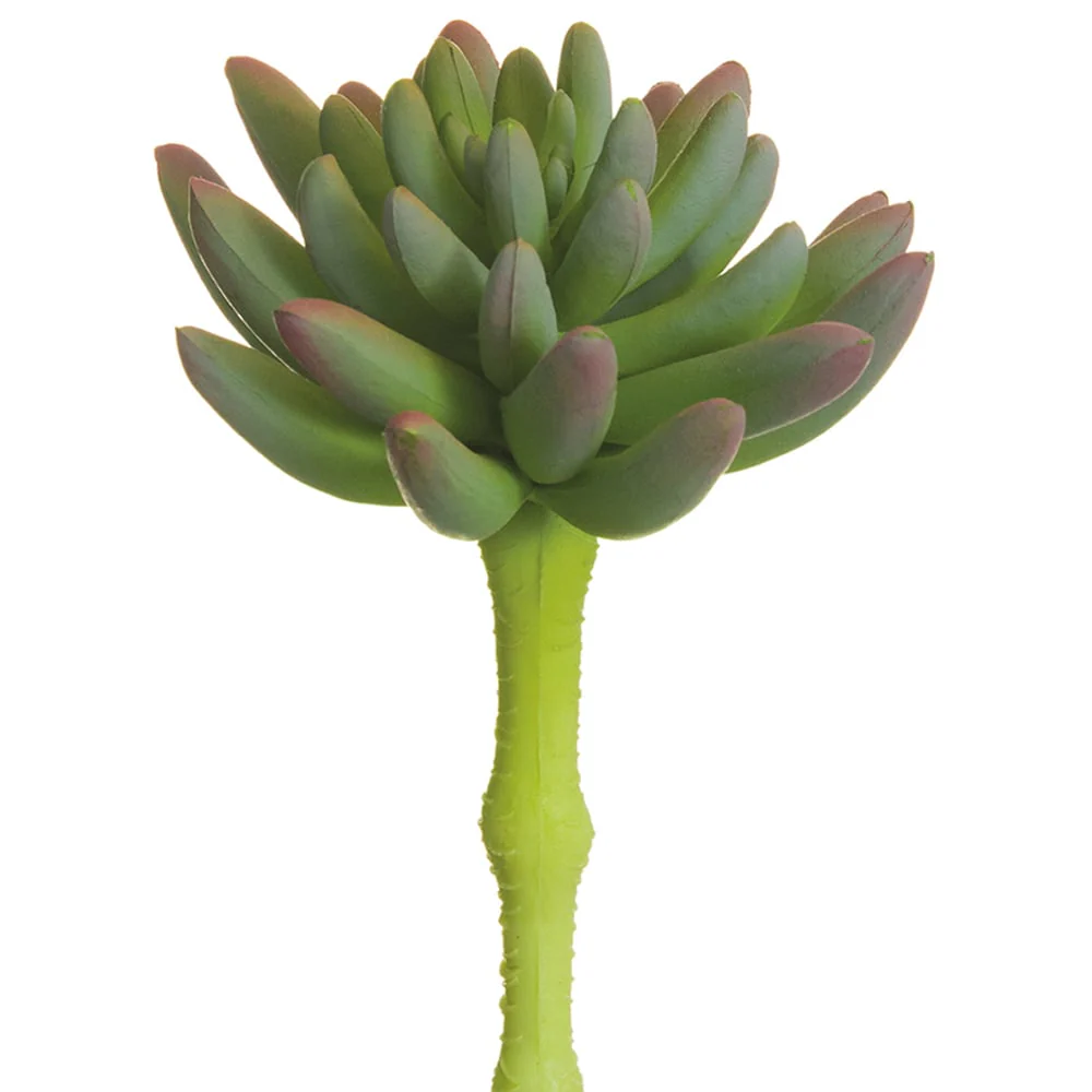 6.25" Real Touch Spike Aeonium Artificial Stem Pick -Green/Lavender (Pack of 24)