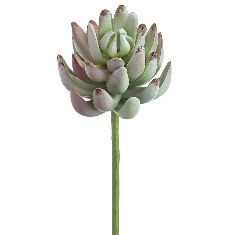 6.5" Real Touch Artificial Senecio Stem Pick -Green (Pack of 12)