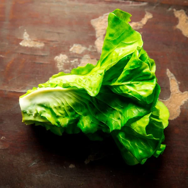 6" Artificial Lettuce -Green (Pack of 12) - Image 2