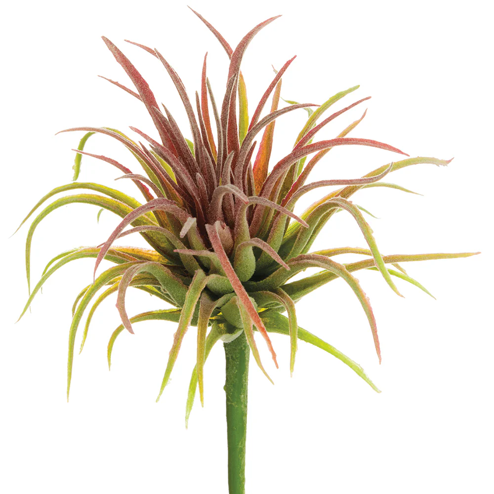 6" Artificial Tillandsia Stem Pick -Green/Red (Pack of 12)