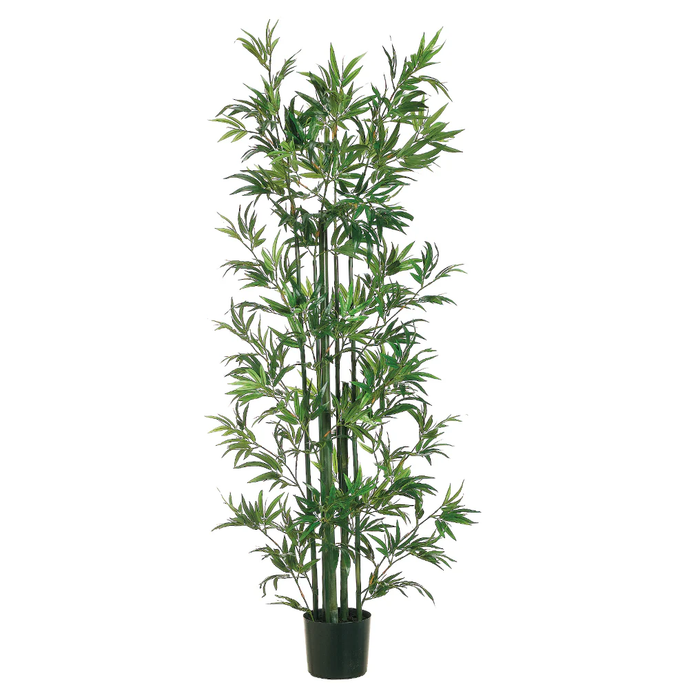 6' Bamboo Silk Tree w/Pot -Green