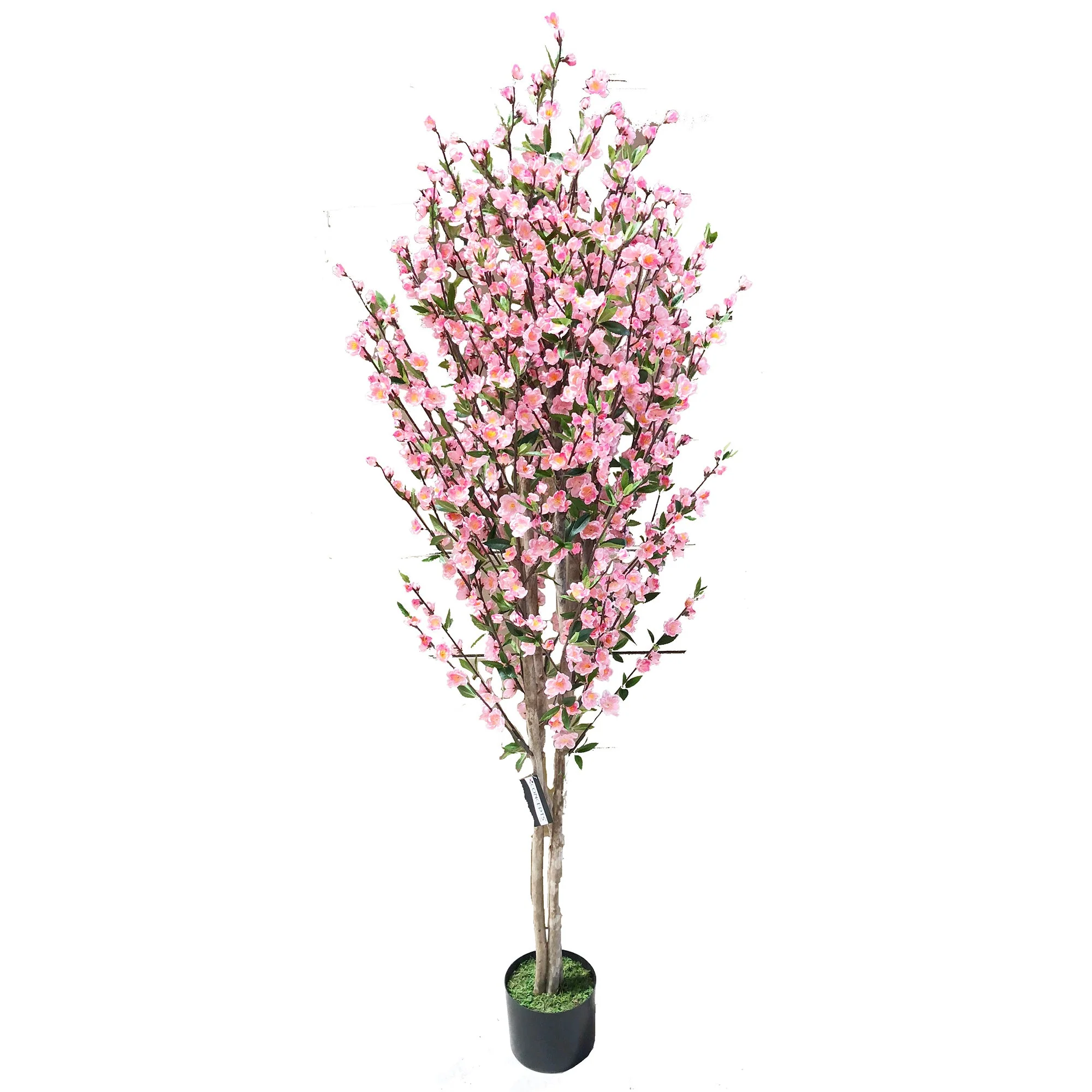6' Cherry Blossom Silk Tree w/Pot -Pink/Cream