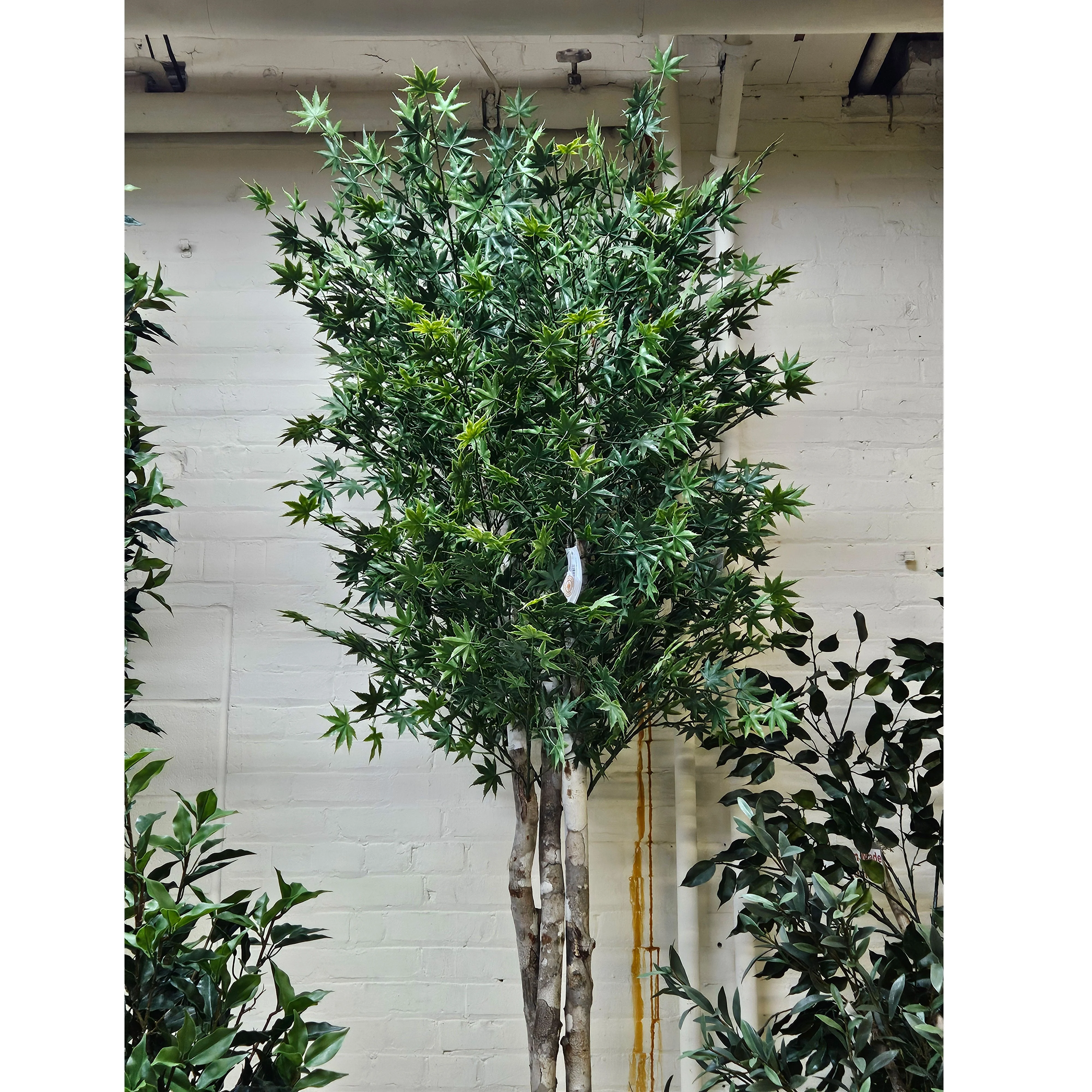 6' Custom-Made Outdoor UV-Proof Artificial Japanese Maple Tree w/Pot -Green - Image 3