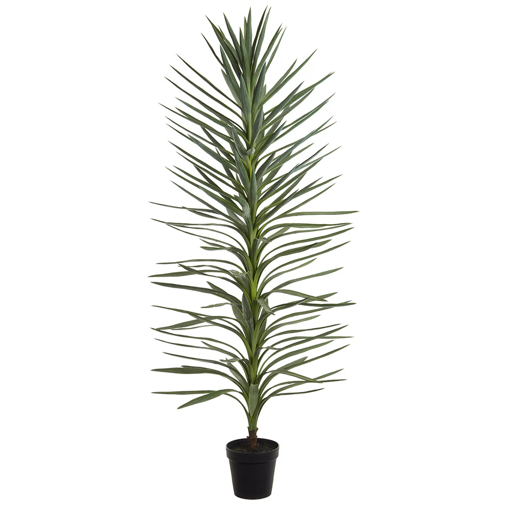6' Dracaena Artificial Tree w/Plastic Pot -Green/Gray (Pack of 2)