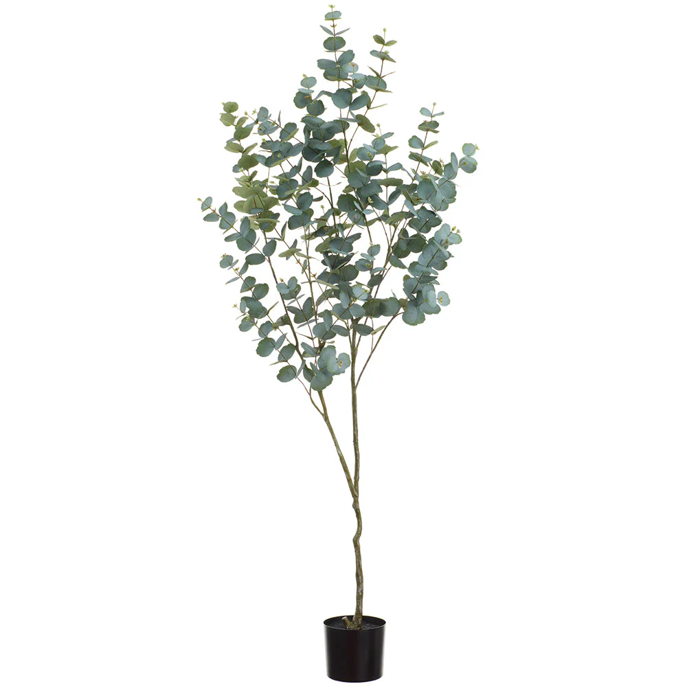 6' Eucalyptus Leaf Silk Tree w/Plastic Pot -Green (Pack of 2)