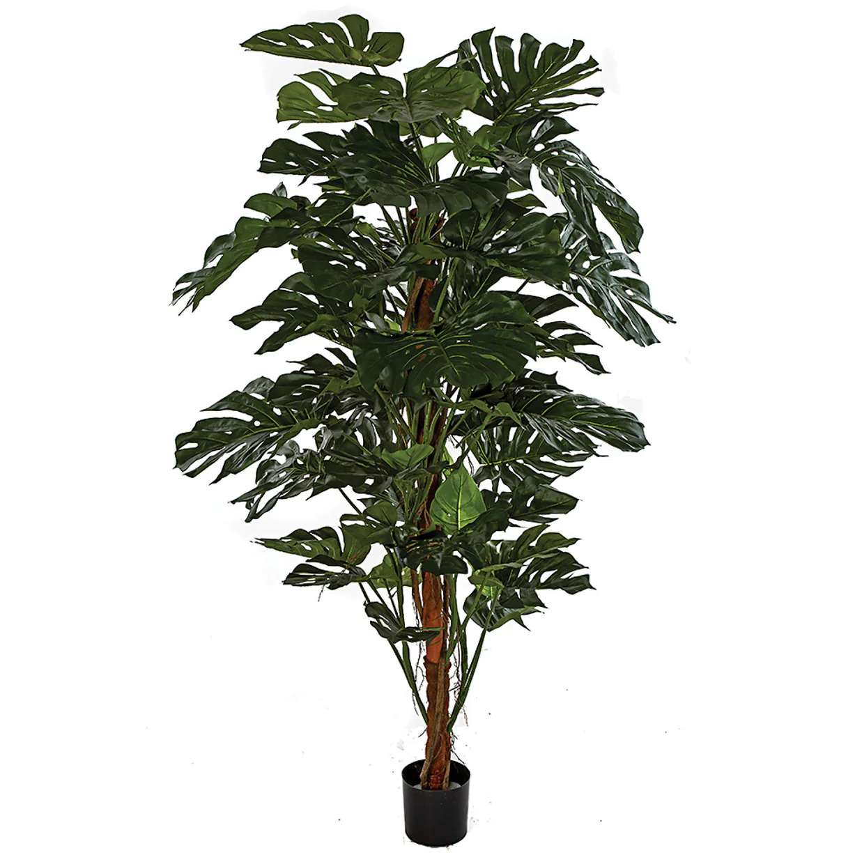 6' IFR Split Leaf Philodendron Monstera Silk Plant w/Pot -Green