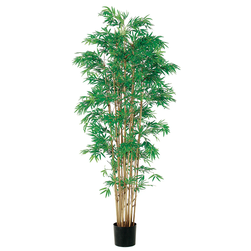 6' Japanese Bamboo Silk Tree w/Pot -3,360 Leaves -2 Tone Green