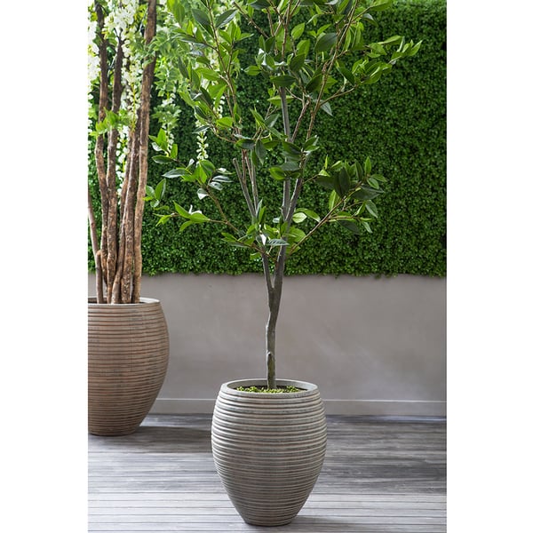 6' Laurel Silk Tree w/Fiber Clay Planter -Green - Image 2