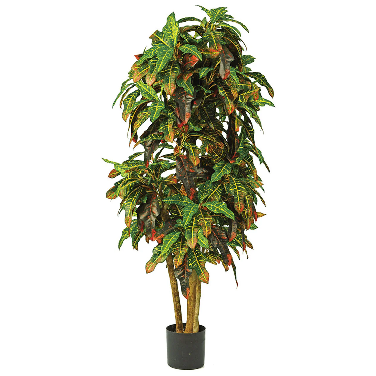 6' Natural Trunk Croton Leaf Silk Plant w/Pot -Green/Red