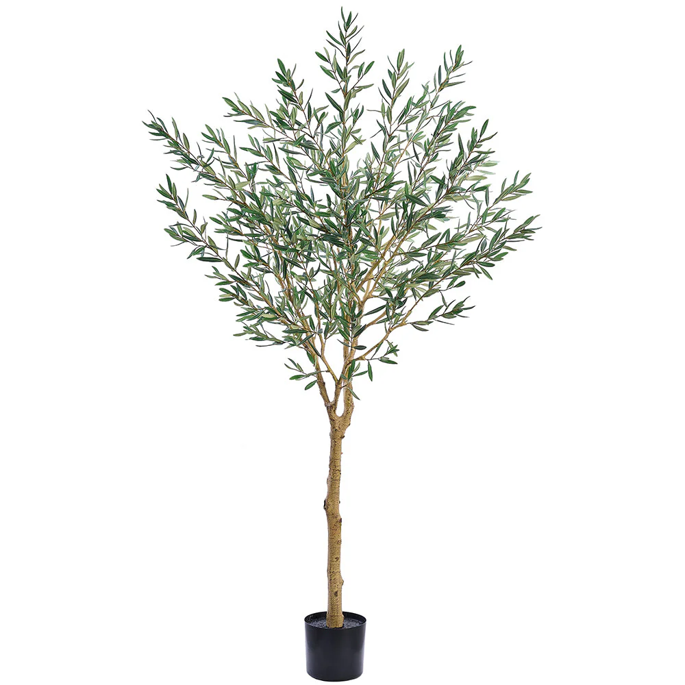 6' Olive Leaf Silk Tree w/Plastic Pot -Green
