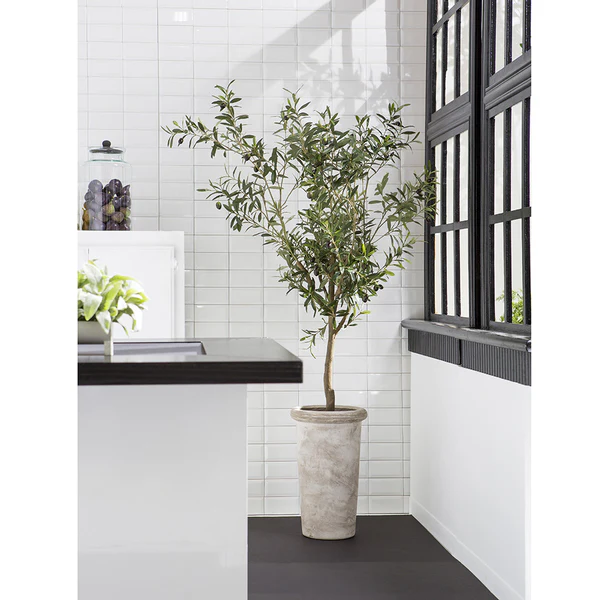 6' Olive Silk Tree w/Cement Planter -Green - Image 2