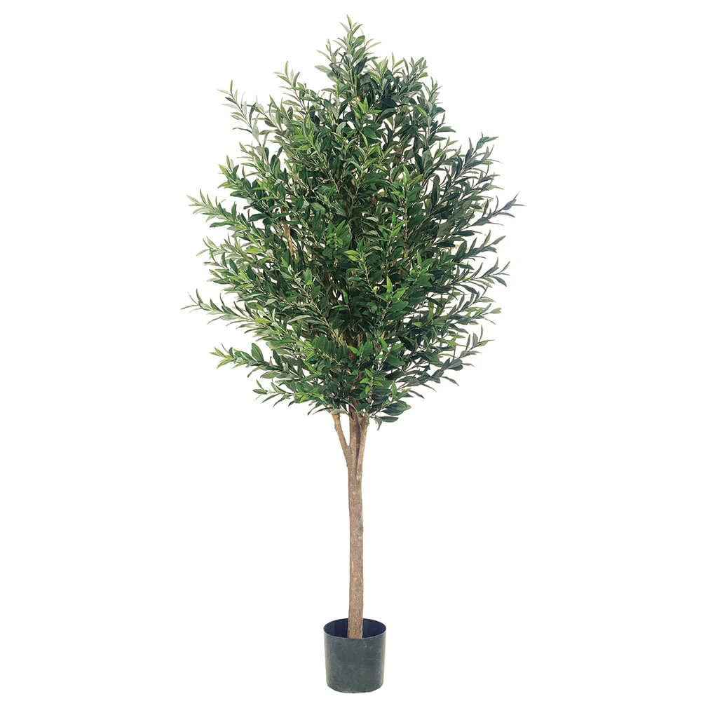 6' Olive Silk Tree w/Pot -2 Tone Green