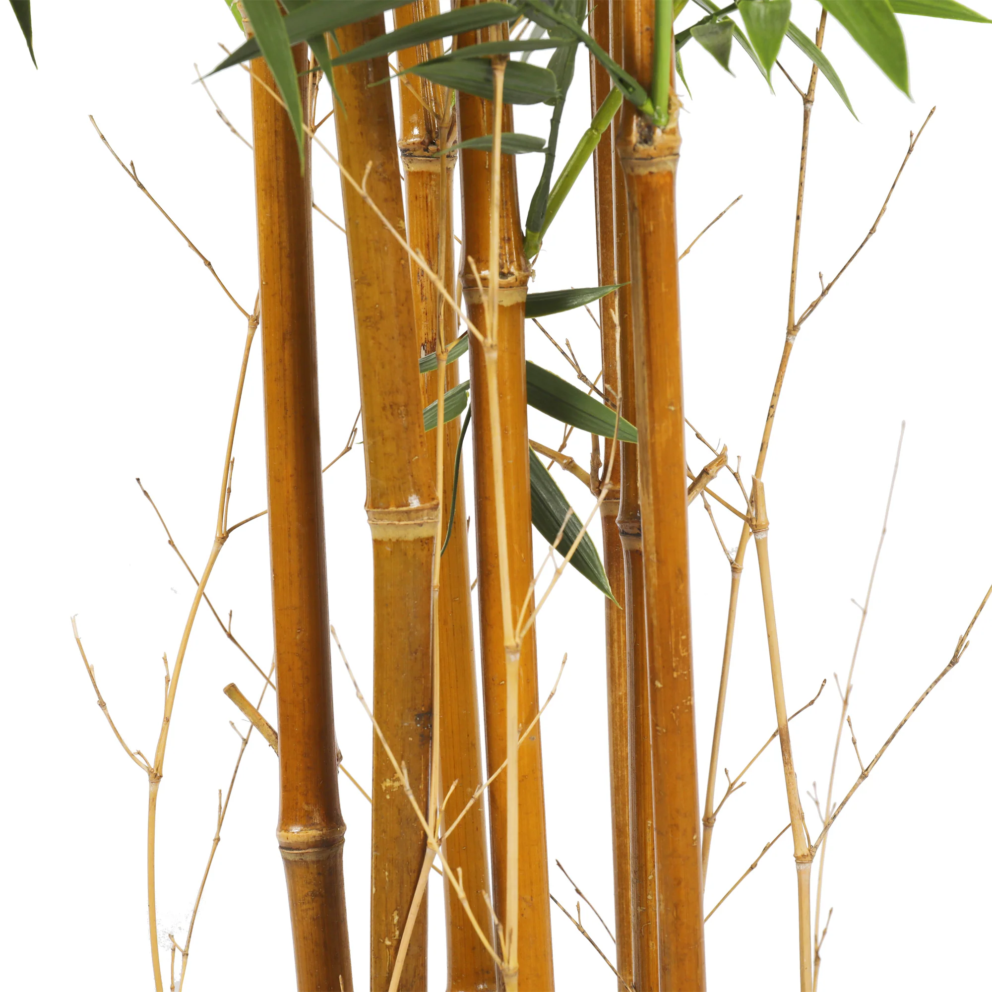 6' Outdoor UV-Proof Artificial Bamboo Tree w/Pot -Green - Image 3