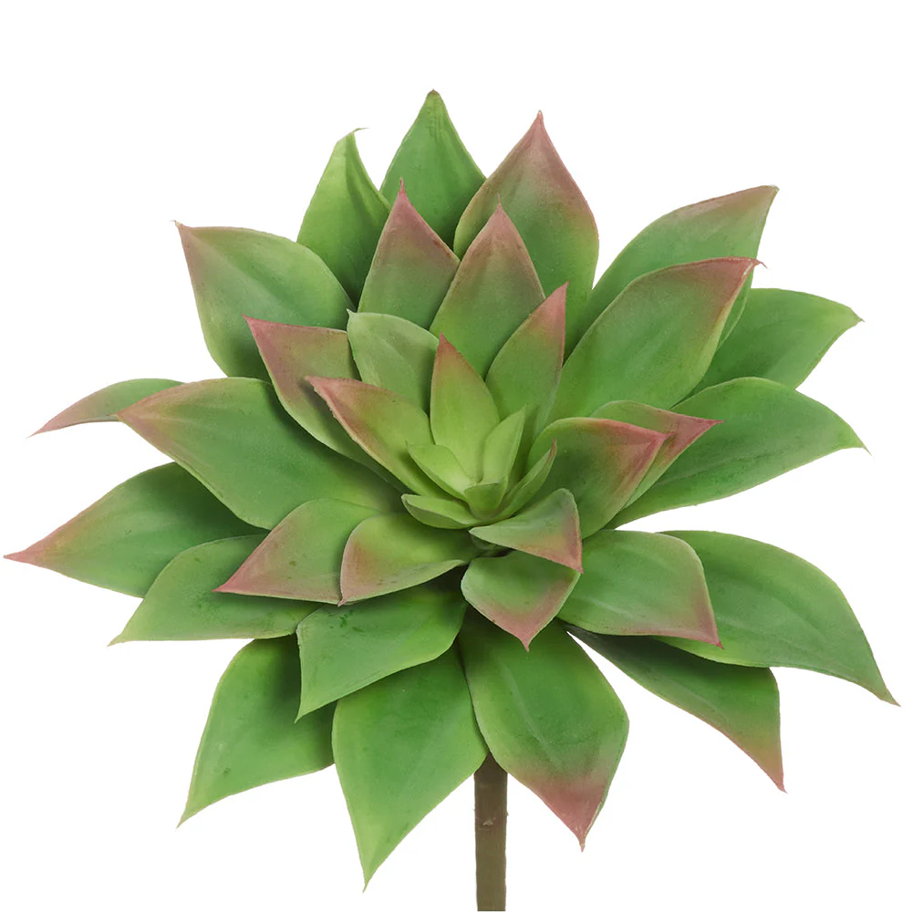 6" Outdoor UV-Resistant Artificial Real Touch Echeveria Stem Pick -Green/Fuchsia (Pack of 12)