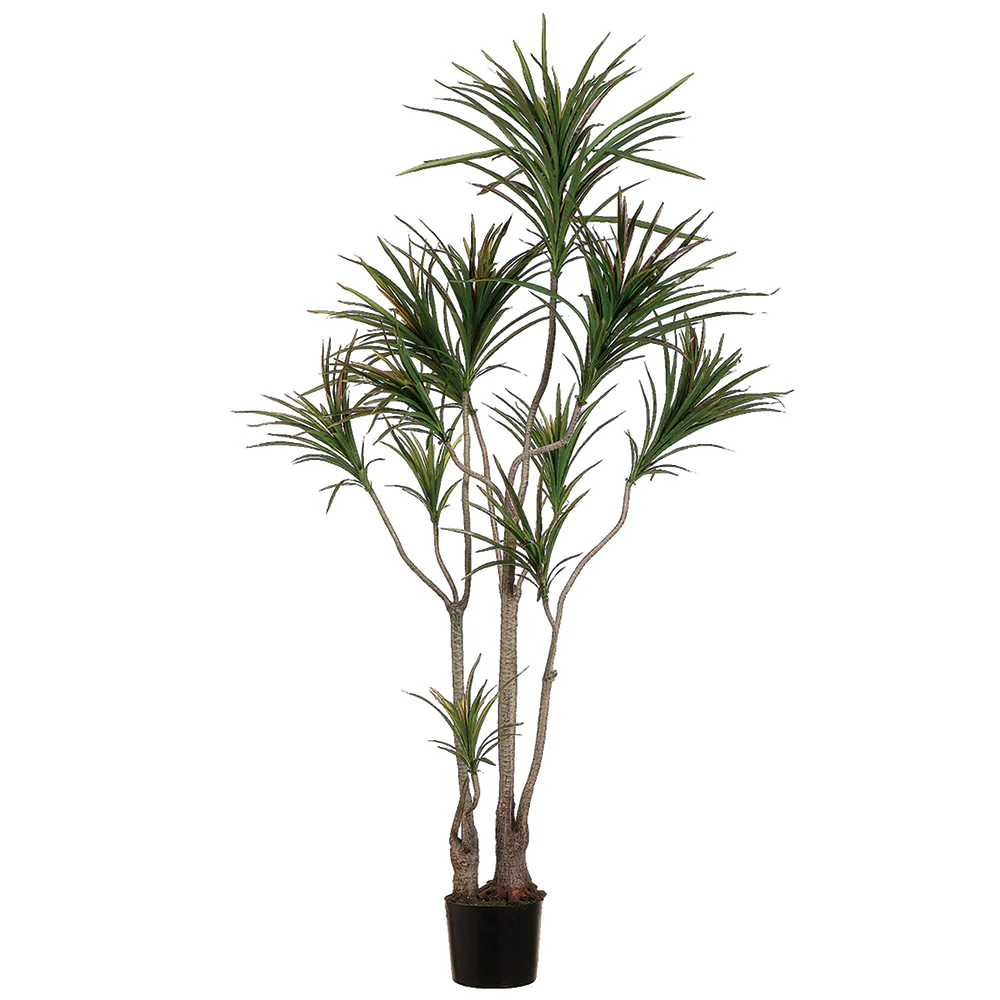 6' Outdoor Water-Resistant Artificial Dracaena Marginata Tree w/Pot -Green/Burgundy