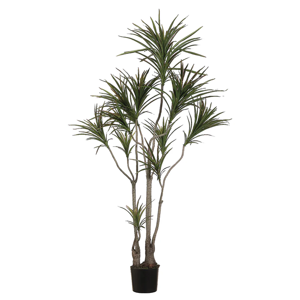 6' Outdoor Water-Resistant Artificial Dracaena Marginata Tree w/Pot -Green/Burgundy (Pack of 2)