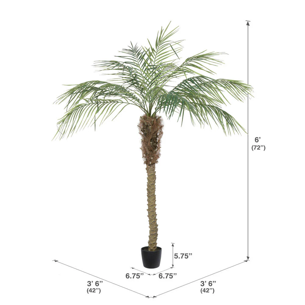 6' Phoenix Silk Palm Tree w/Pot -Green - Image 3