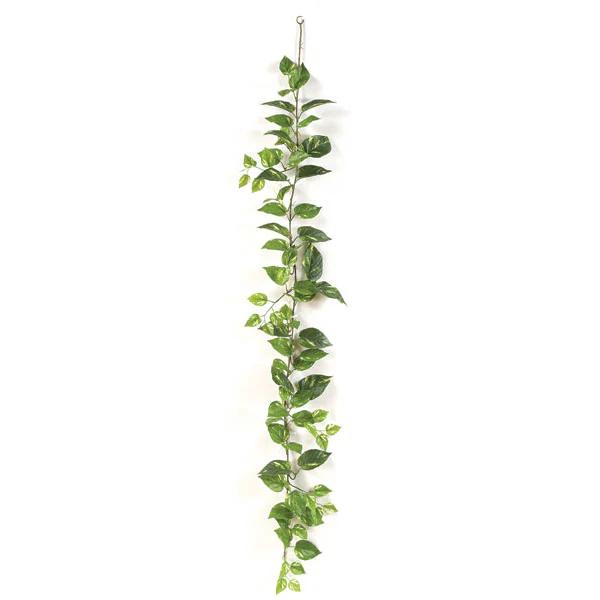 6' Pothos Silk Garland -Green/Yellow (Pack of 12)