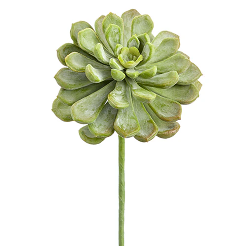 6" Real Touch Artificial Baby Aeonium Stem Pick -Frosted Green (Pack of 12)