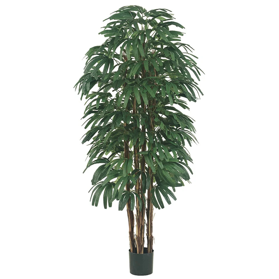 6' Rhapis Silk Palm Tree w/Pot -2 Tone Green
