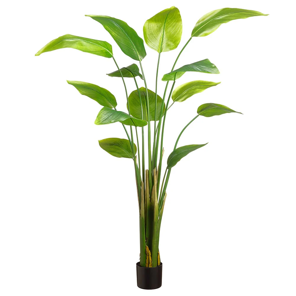 6' Silk Banana Leaf Palm Tree w/Plastic Pot -Green (Pack of 2)