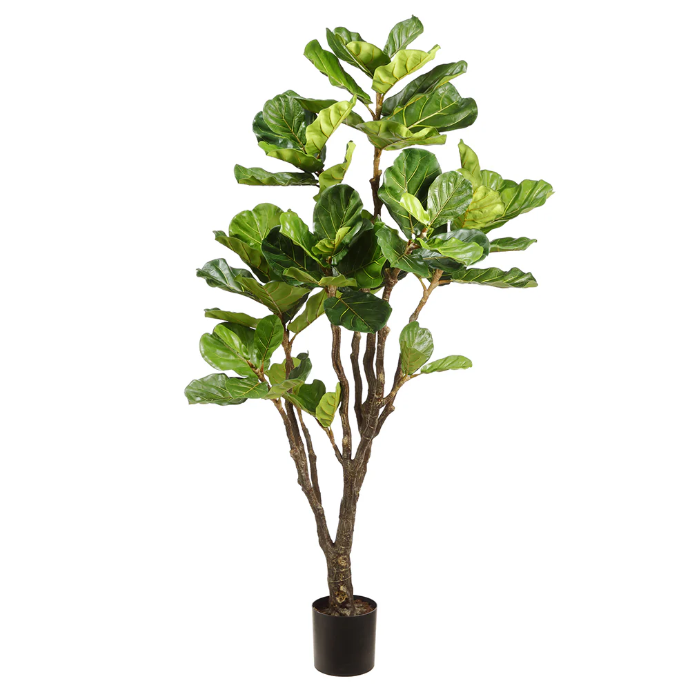 6' Silk Fiddle Leaf Fig Plant w/Plastic Pot -Green