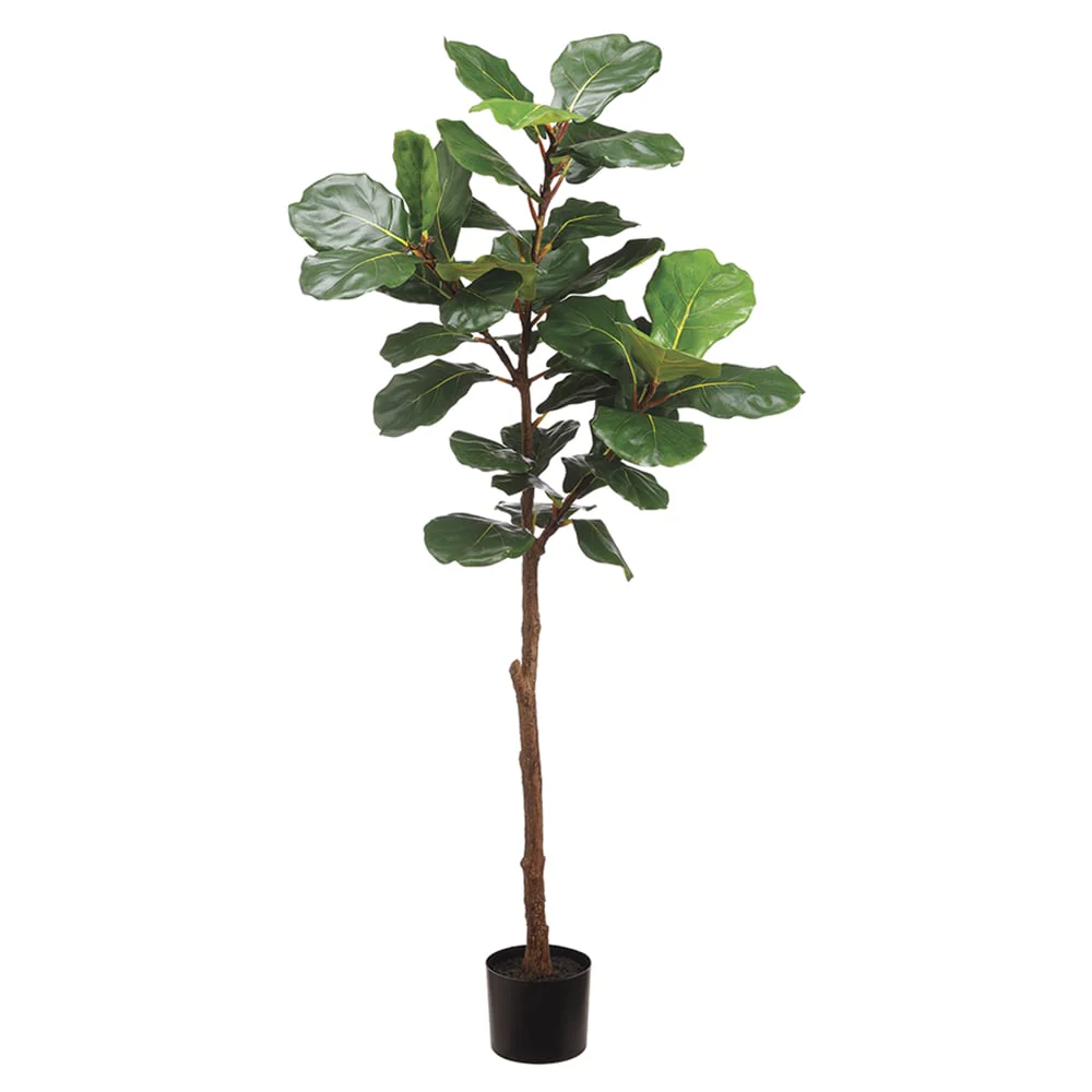 6' Silk Fiddle Leaf Fig Tree w/Pot -Green (Pack of 2)
