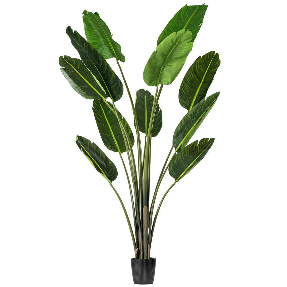 6' Travelers Silk Palm Tree w/Plastic Pot -Green