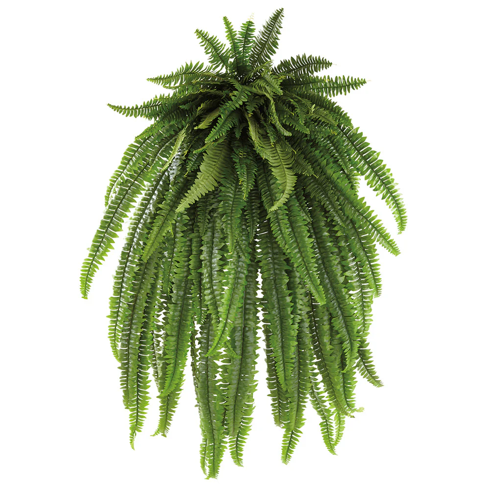 60" Boston Fern Leaf Silk Plant -Green (Pack of 2)