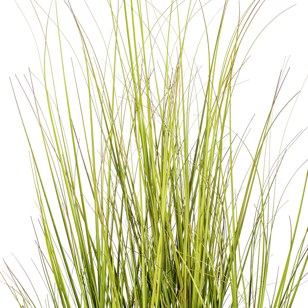 60" Switchgrasss Artificial Plant w/Pot -Green/Brown - Image 2