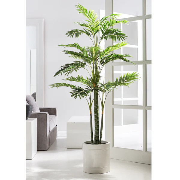 6'1" Silk Areca Palm Tree w/White Planter -Green/White - Image 2
