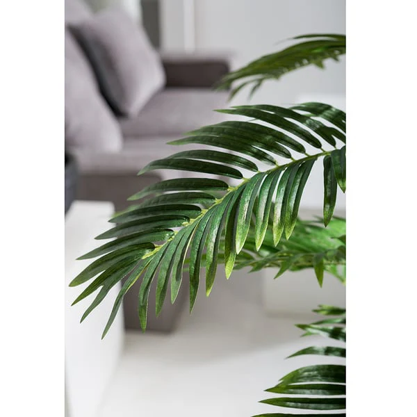6'1" Silk Areca Palm Tree w/White Planter -Green/White - Image 3