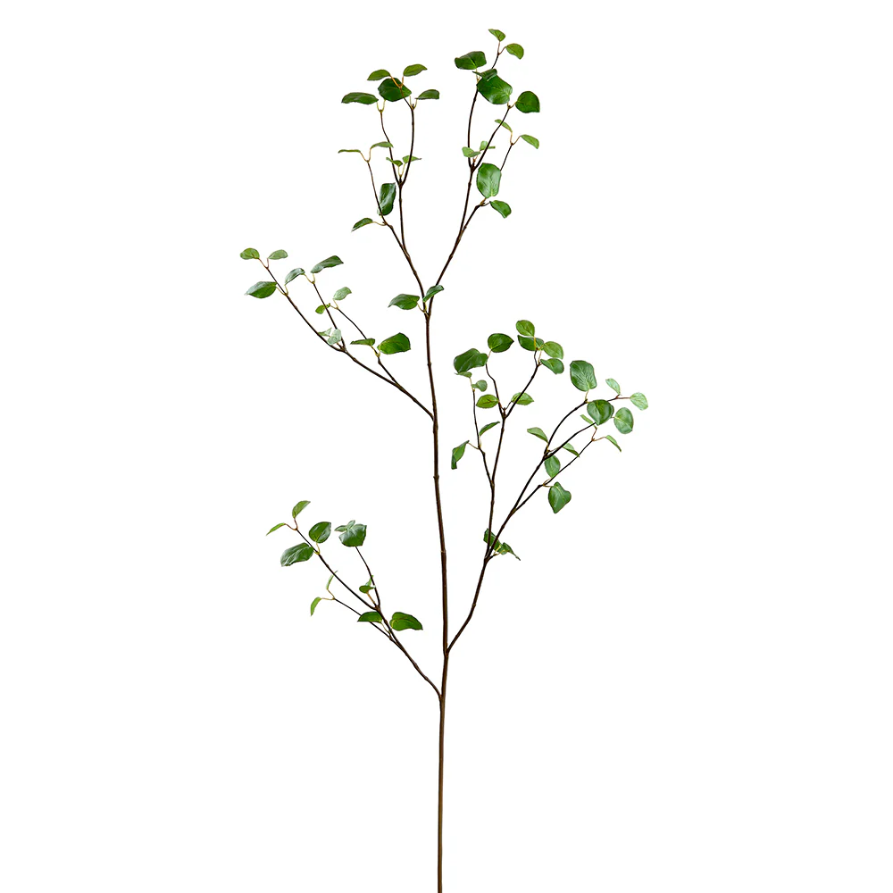 61" Silk Bay Leaf Stem -Green (Pack of 12)