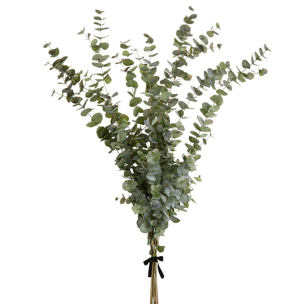61" Silk Eucalyptus Leaf Stem Bundle -Green/Gray (Pack of 2)