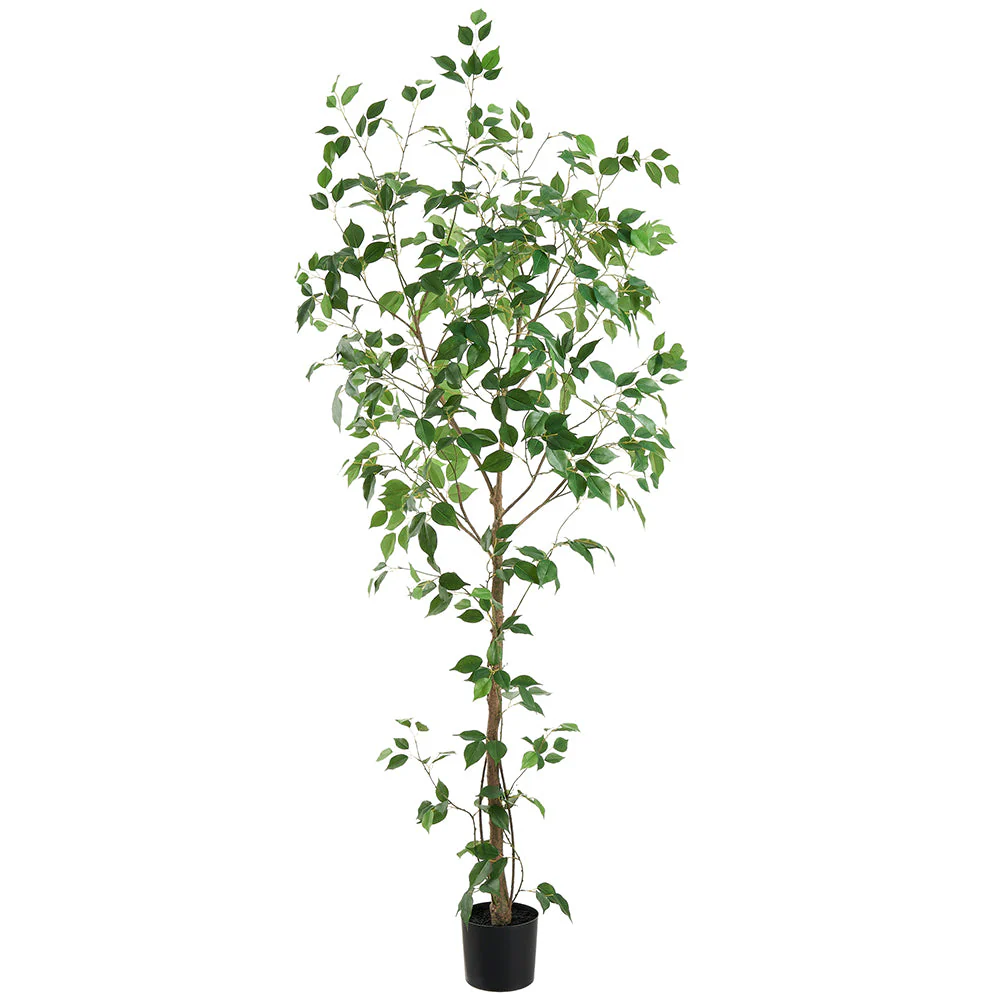 6'10" Ficus Benghalensis Silk Tree w/Pot -Green (Pack of 2)