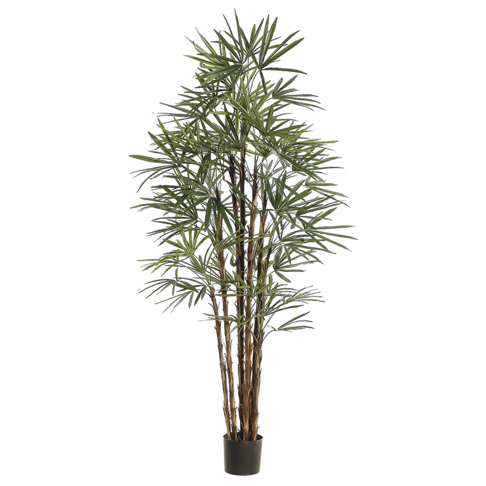 6'10" Honey Rhapis Silk Palm Tree w/Pot -Green