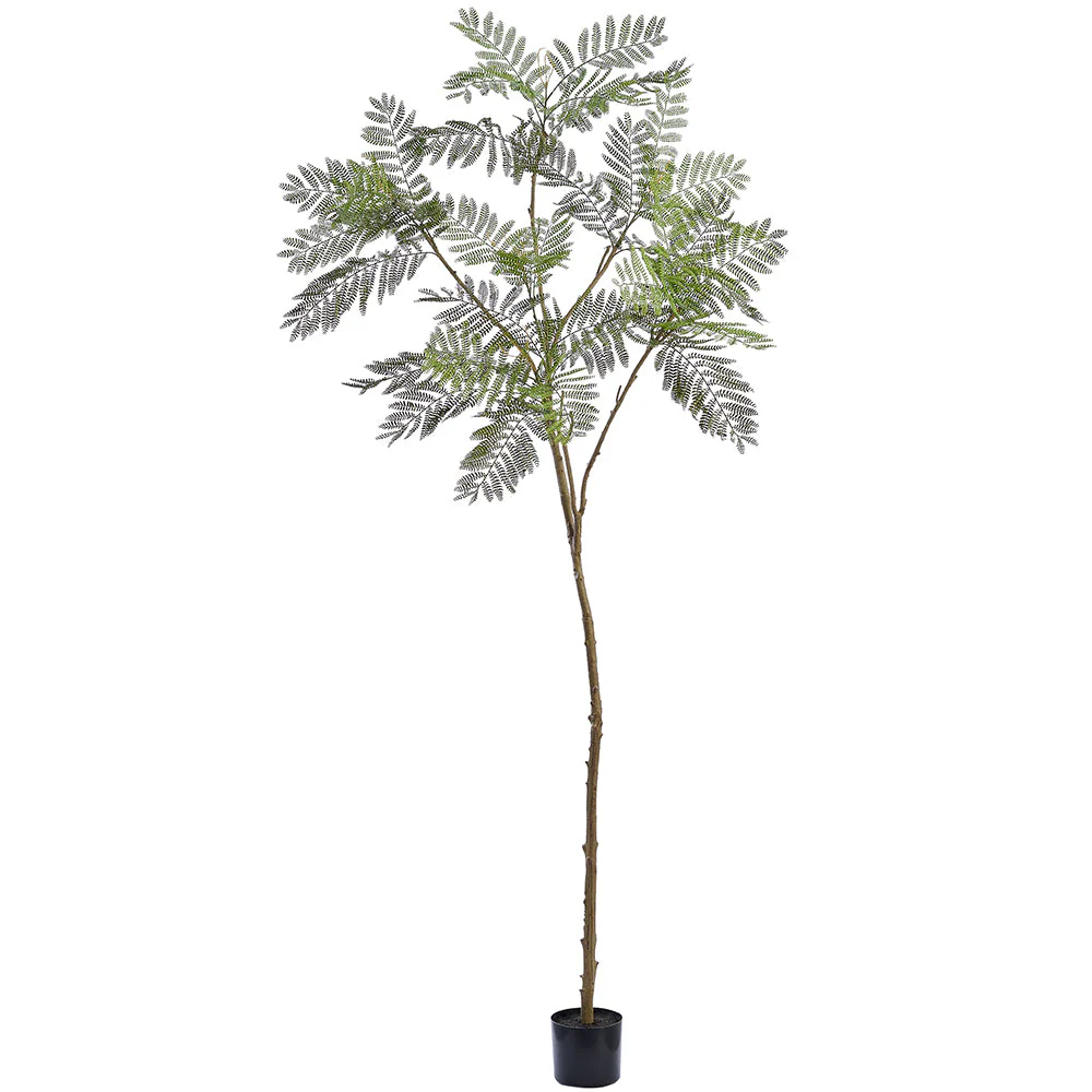 6'10" Jacaranda Fern Artificial Tree w/Plastic Pot -Green