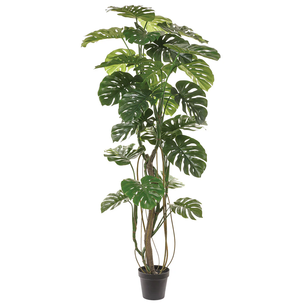 6'10" Split Leaf Philodendron Monstera Silk Plant w/Pot -Green