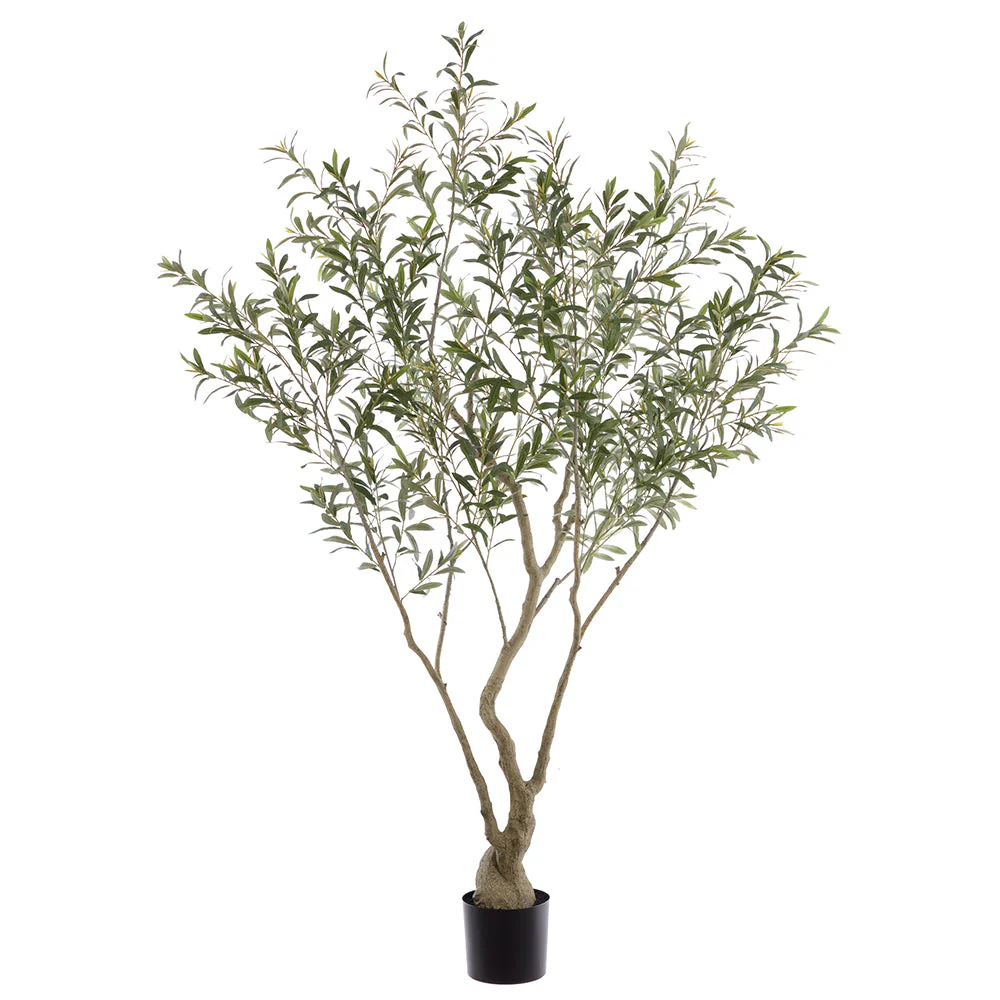 6'11 Olive Leaf Silk Tree w/Plastic Pot -Green