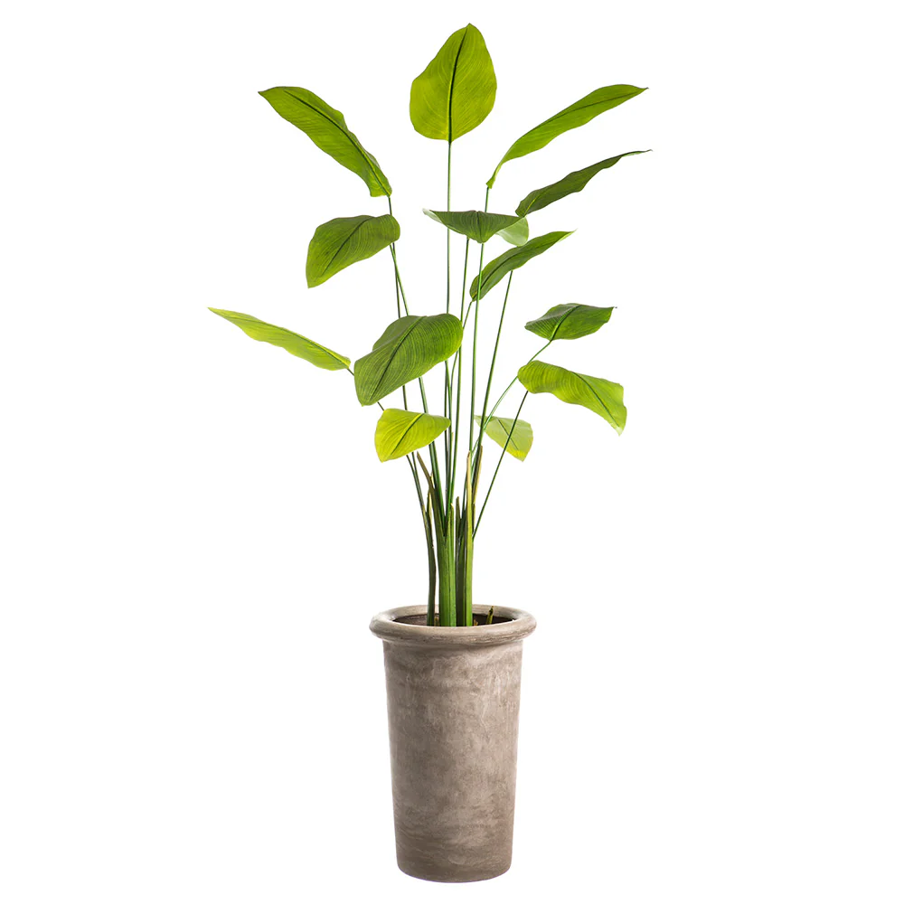 6'11" Silk Banana Palm Tree w/Planter -Green