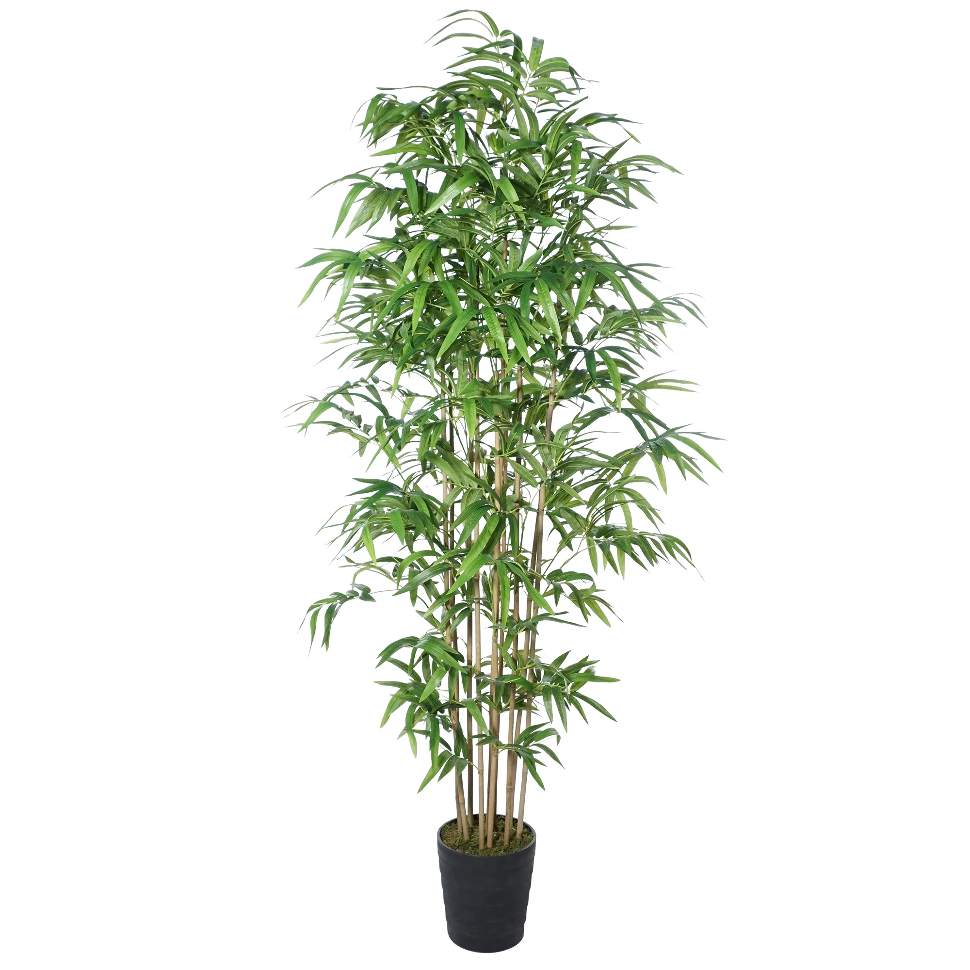 6'2" Natural Trunk Silk Bamboo Tree w/Pot -Green