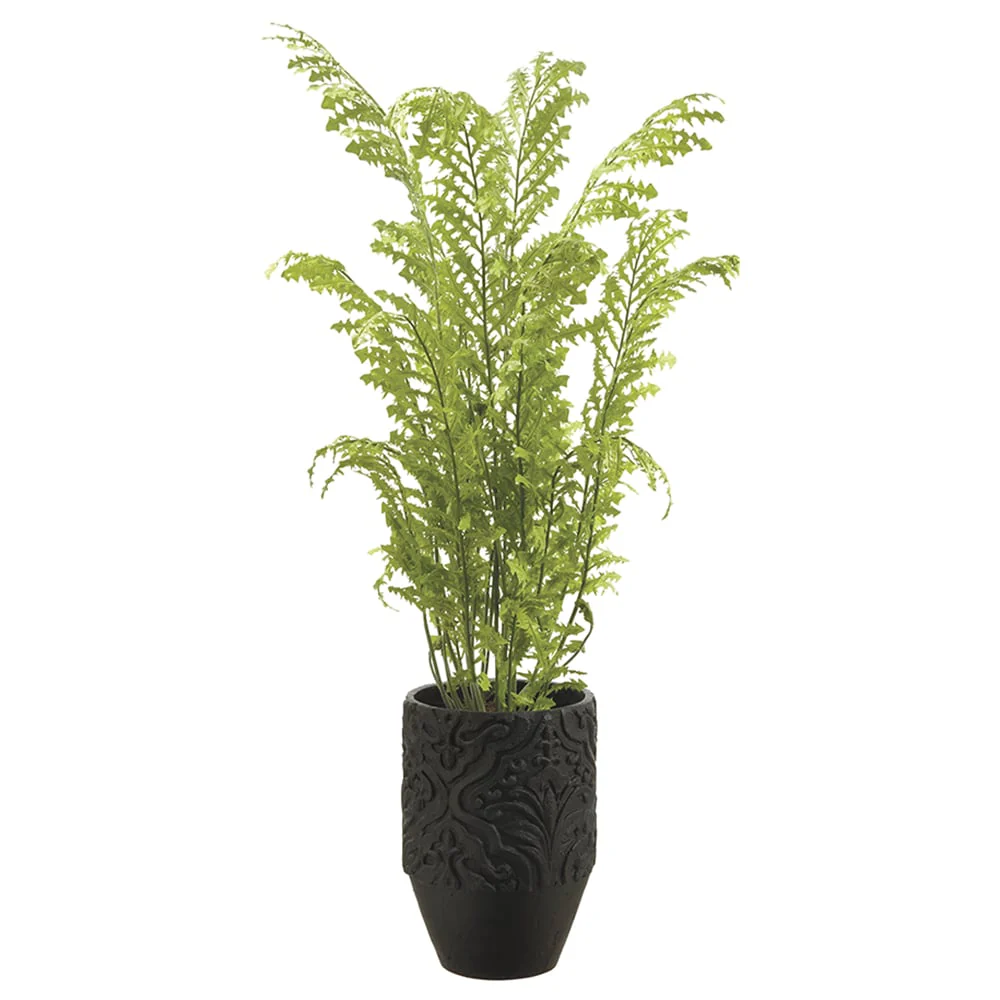 6'2" Tall Silk Fern Plant w/Planter -Green