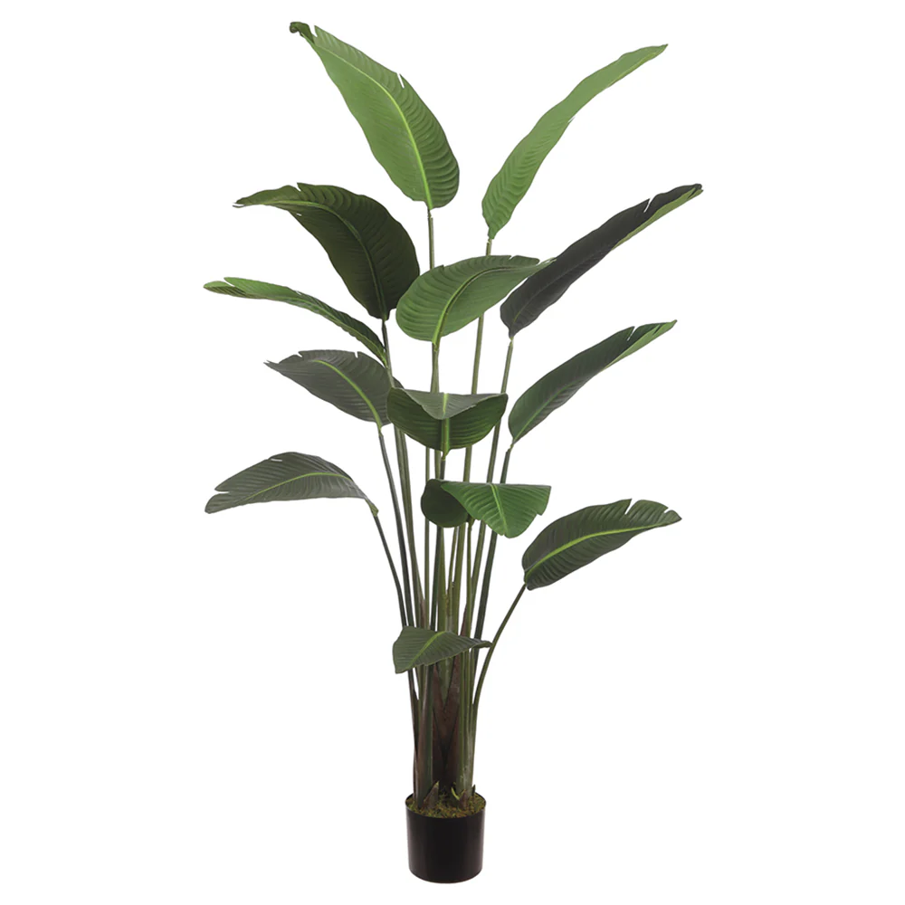 6'3" Silk Bird Of Paradise Palm Tree w/Pot -Green