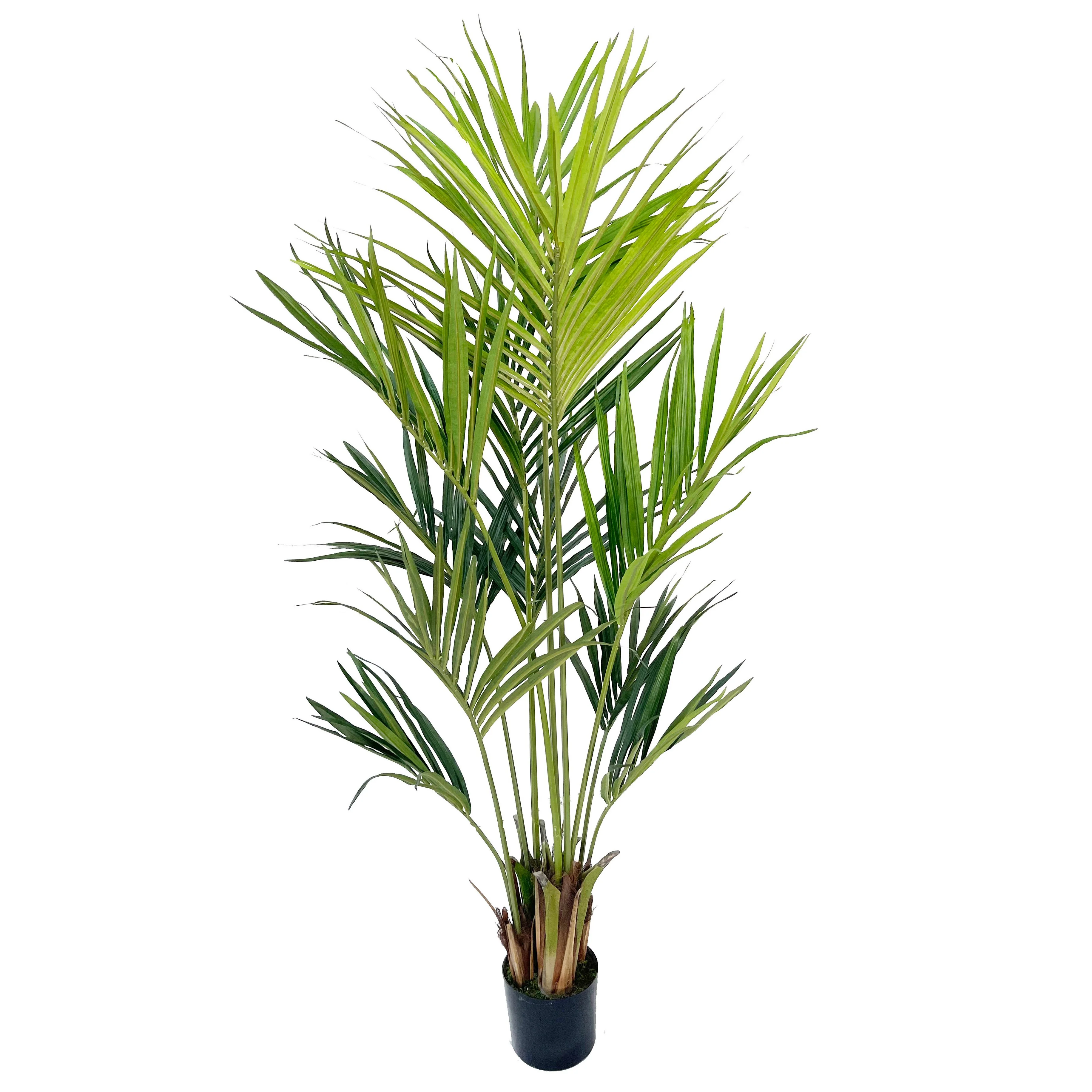 6'4" Silk Kentia Palm Tree w/Pot -Green