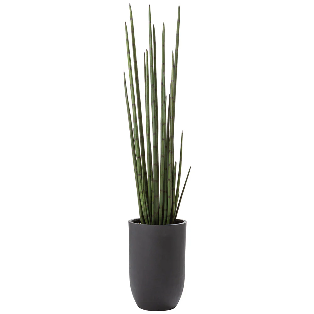 6'4"Hx15"W Sansevieria Snake Artificial Plant w/Cement Planter -Green
