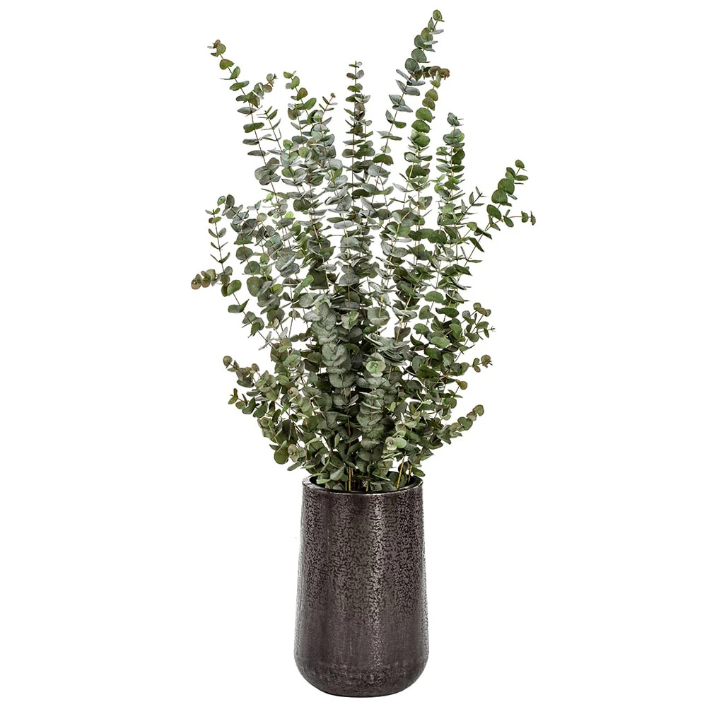 6'5" Silk Eucalyptus Plant w/Textured Planter -Green/Gray