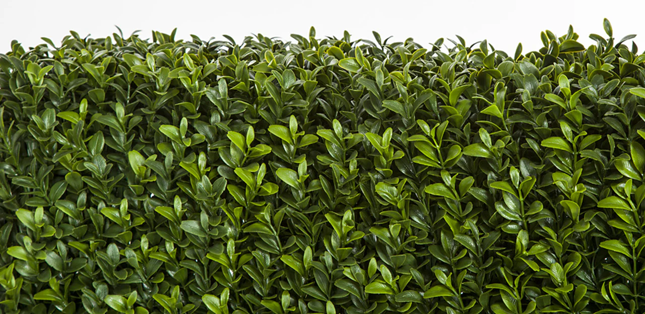 65"Hx48"Wx8"D Outdoor UV-Resistant Artificial Boxwood Topiary Hedge -Green - Image 4