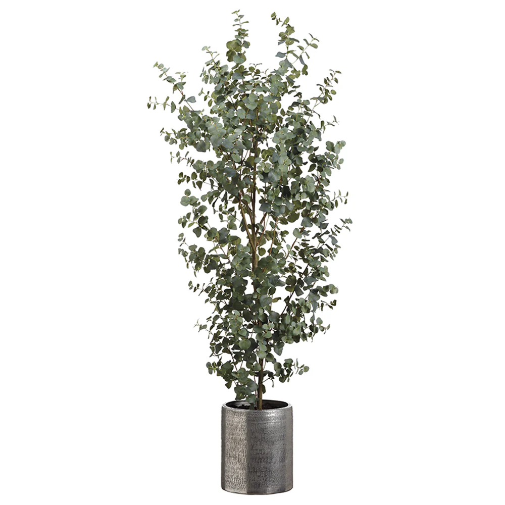 6'6" Eucalyptus Silk Tree w/Aluminum Planter -Green