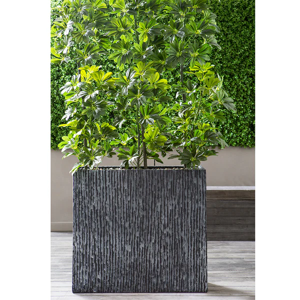 6'6" EVA Schefflera Wall Divider Artificial Tree w/Container -Green - Image 2